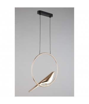 Светильник подвеснойAploytAPL.822.06.10-foto10