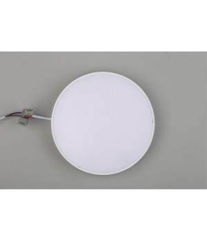 Светильник настенно-потолочныйAploytAPL.0114.09.24-foto7