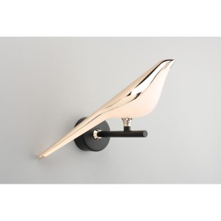 Светильник настенный (Бра)AploytAPL.822.01.10-foto13