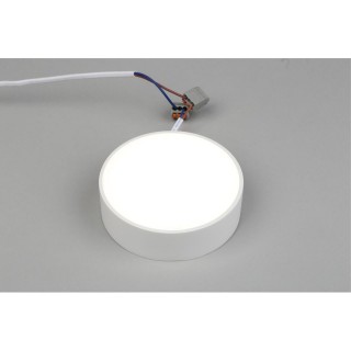 Светильник настенно-потолочныйAploytAPL.0114.09.12-foto3