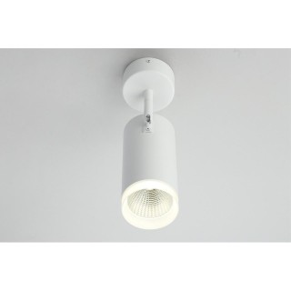 Светильник настенно-потолочныйOmniluxOML-102609-20-foto7