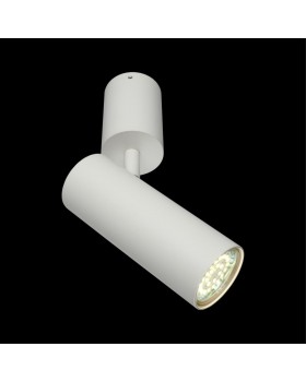 Светильник настенно-потолочныйAploytAPL.007.02.01-foto8