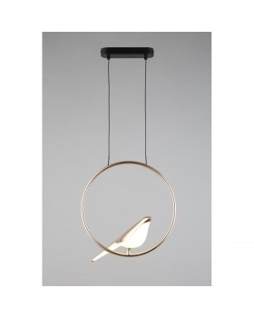 Светильник подвеснойAploytAPL.822.06.10-foto14