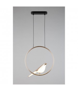 Светильник подвеснойAploytAPL.822.06.10-foto14