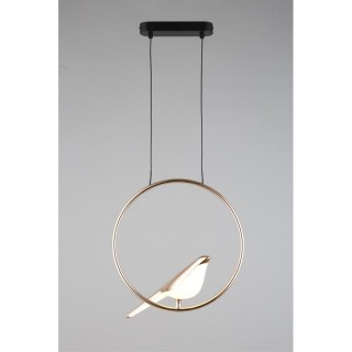 Светильник подвеснойAploytAPL.822.06.10-foto14