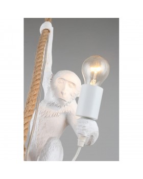 Светильник подвеснойAploytAPL.309.06.01-foto11