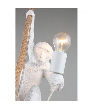 Светильник подвеснойAploytAPL.309.06.01-foto11