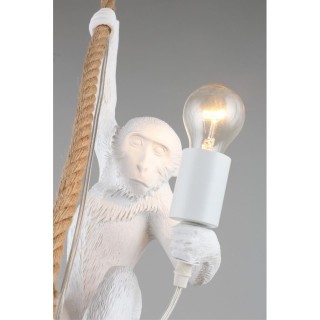 Светильник подвеснойAploytAPL.309.06.01-foto11