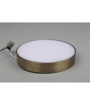 Светильник настенно-потолочныйAploytAPL.0113.29.24-foto5