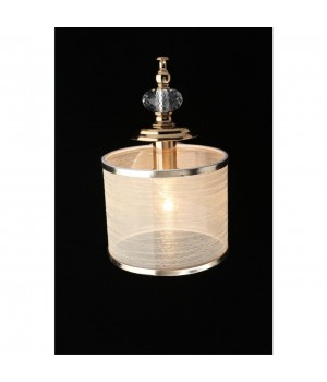 Светильник настенный (Бра)AploytAPL.720.01.01-foto8