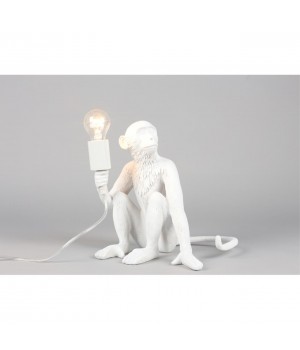 Настольная лампаAploytAPL.309.14.01-foto12