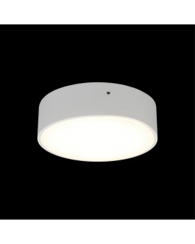 Светильник настенно-потолочныйAploytAPL.0113.09.12-foto7