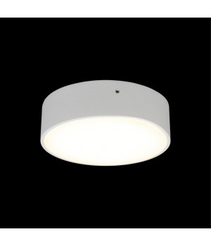 Светильник настенно-потолочныйAploytAPL.0113.09.12-foto7