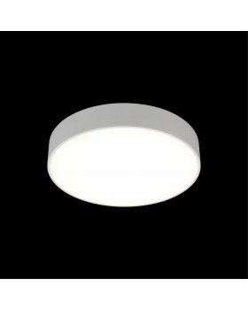 Светильник настенно-потолочныйAploytAPL.0114.09.24-foto8