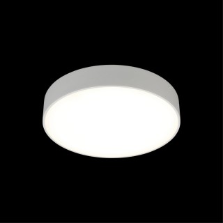 Светильник настенно-потолочныйAploytAPL.0114.09.24-foto8