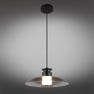 Светильник подвесной Aployt APL.648.06.10-foto2