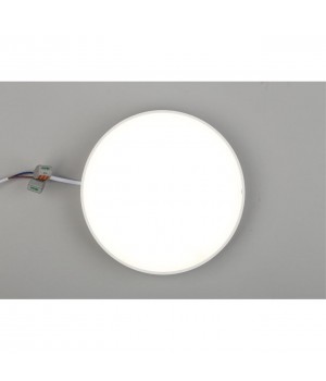 Светильник настенно-потолочныйAploytAPL.0114.09.24-foto6