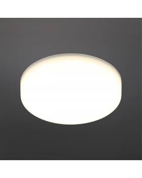 Светильник встраиваемый-накладнойAploytAPL.0074.09.10-foto2