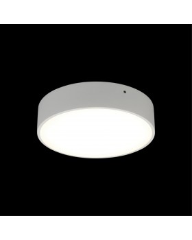 Светильник настенно-потолочныйAploytAPL.0114.09.18-foto8