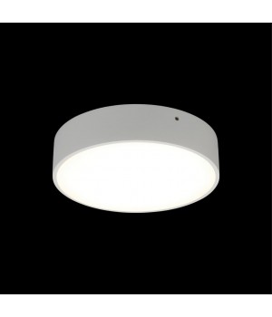 Светильник настенно-потолочныйAploytAPL.0114.09.18-foto8