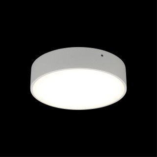 Светильник настенно-потолочныйAploytAPL.0114.09.18-foto8