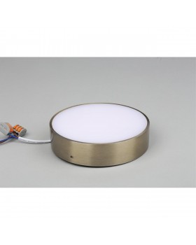 Светильник настенно-потолочныйAploytAPL.0113.29.18-foto3