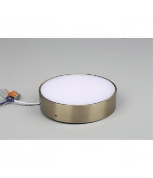 Светильник настенно-потолочныйAploytAPL.0113.29.18-foto3