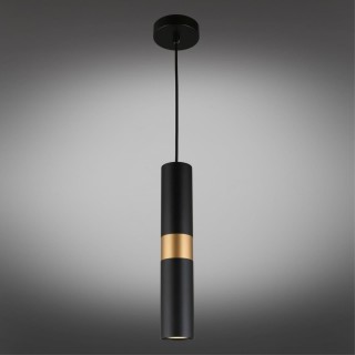 Светильник подвеснойAploytAPL.607.06.01-foto2