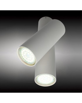 Светильник настенно-потолочныйAploytAPL.006.02.02-foto2