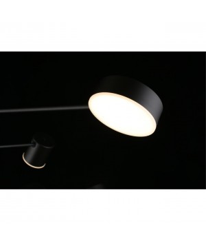 Люстра потолочнаяAploytAPL.017.07.48-foto6