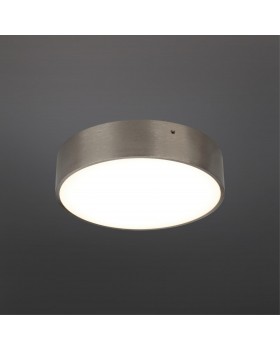 Светильник настенно-потолочныйAploytAPL.0114.19.18-foto2