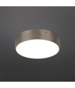 Светильник настенно-потолочныйAploytAPL.0114.19.18-foto2