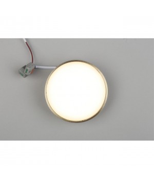 Светильник настенно-потолочныйAploytAPL.0113.29.12-foto6