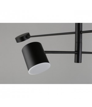 Люстра потолочнаяAploytAPL.017.07.48-foto12