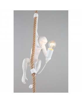 Светильник подвеснойAploytAPL.309.06.01-foto13