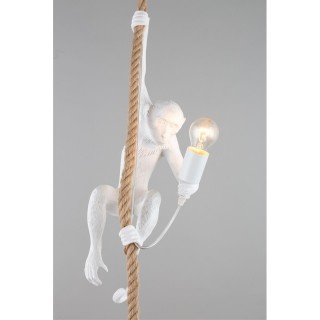 Светильник подвеснойAploytAPL.309.06.01-foto13