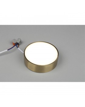 Светильник настенно-потолочныйAploytAPL.0114.29.12-foto3