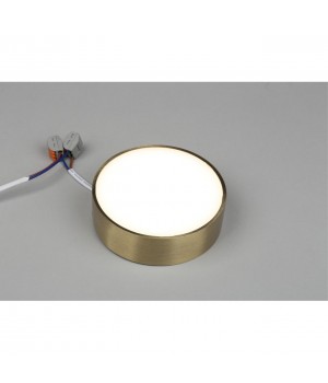 Светильник настенно-потолочныйAploytAPL.0114.29.12-foto3