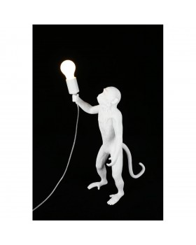 Настольная лампаAploytAPL.309.04.01-foto9