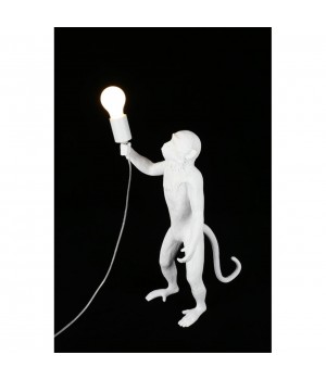 Настольная лампаAploytAPL.309.04.01-foto9