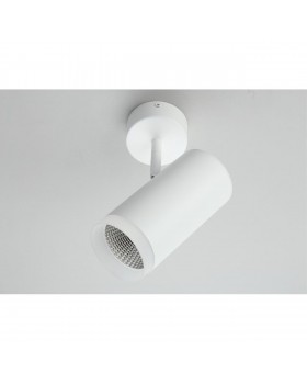 Светильник настенно-потолочныйOmniluxOML-102609-20-foto3