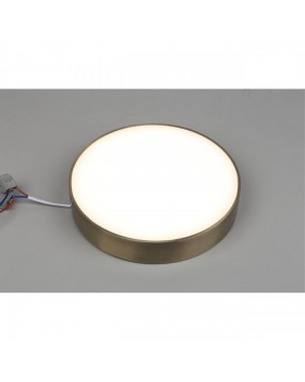 Светильник настенно-потолочныйAploytAPL.0114.29.24-foto3