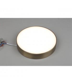 Светильник настенно-потолочныйAploytAPL.0114.29.24-foto3