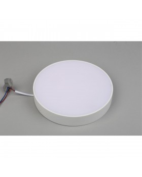 Светильник настенно-потолочныйAploytAPL.0113.09.24-foto4