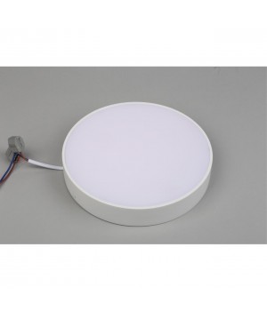 Светильник настенно-потолочныйAploytAPL.0113.09.24-foto4