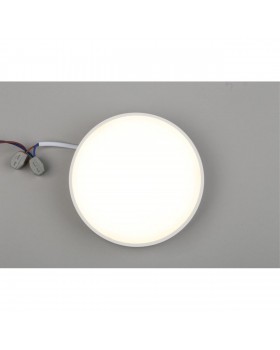 Светильник настенно-потолочныйAploytAPL.0113.09.18-foto5