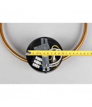 Светильник настенный (Бра)AploytAPL.306.01.02-foto4