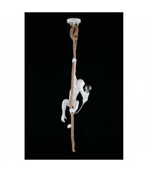 Светильник подвеснойAploytAPL.309.06.01-foto8