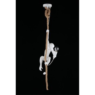 Светильник подвеснойAploytAPL.309.06.01-foto8