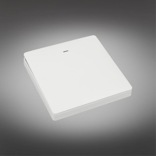 Трековое управление Aployt APL.0190.00.01-foto2